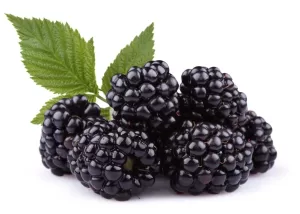 Blackberry Bliss