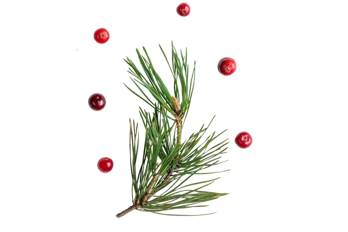 Cranberry & Pine