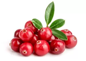 Cranberry Glowing Positively Candles Best Candles in Western Canada Hand Made