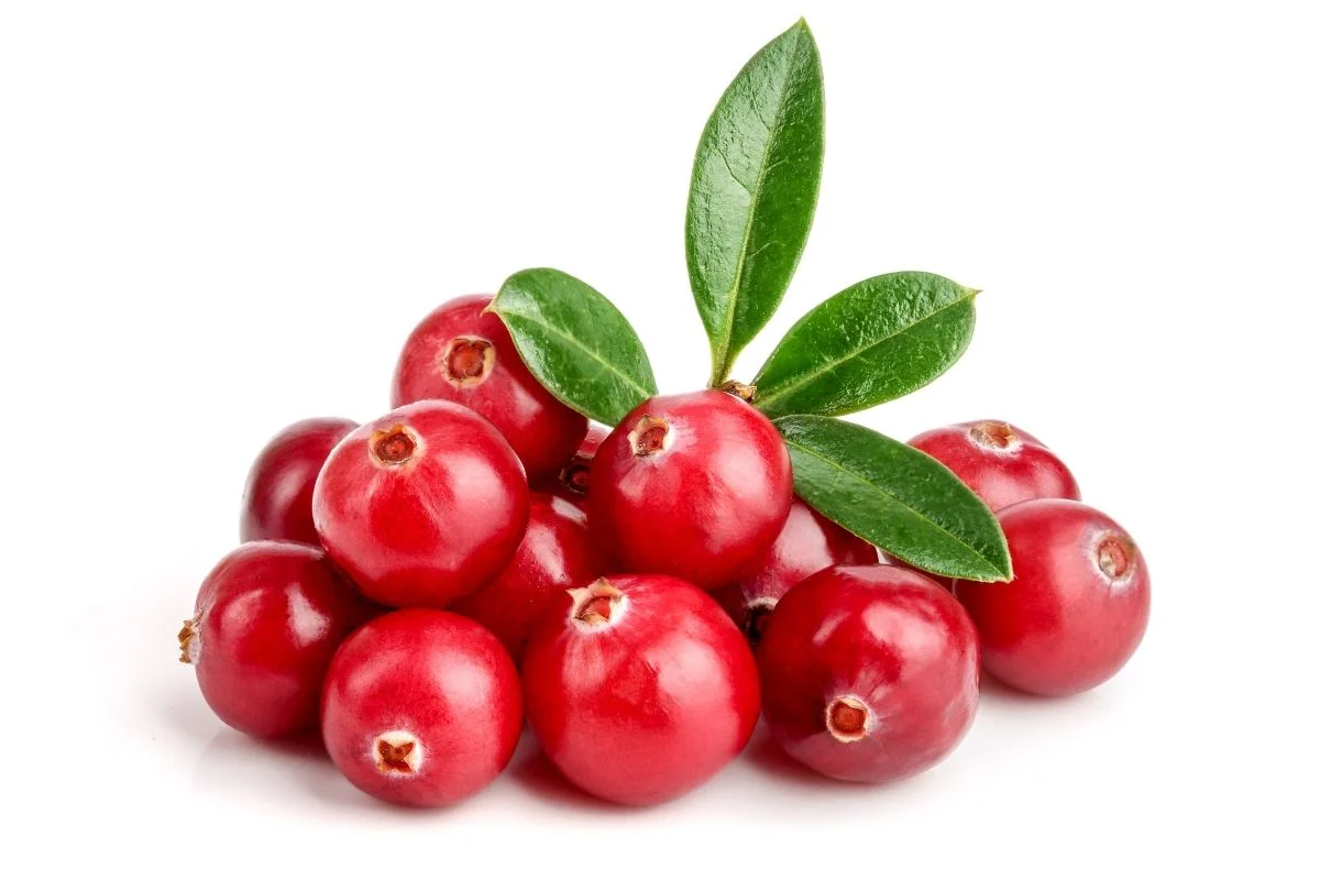 Cranberry Glowing Positively Candles Best Candles in Western Canada Hand Made