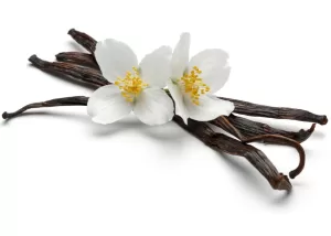 Very Vanilla