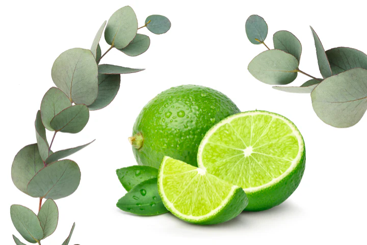 Eucalyptus & Lyme