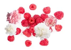 Raspberry & Carnation